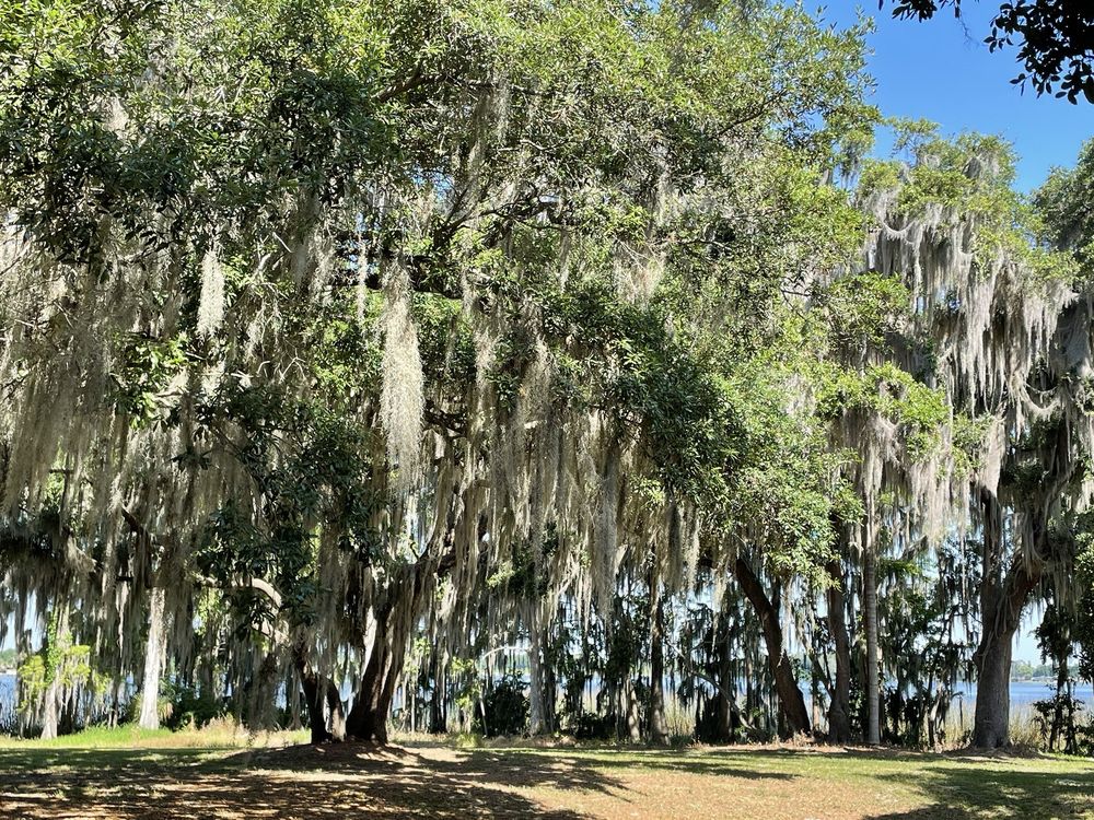 Clear Lake Park Image