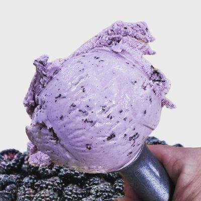 Cream Northwest by null