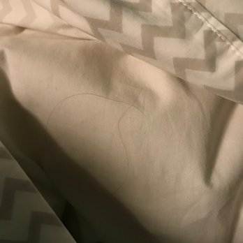 Spin & Margie's Desert Hideaway - Found human hair inside pillow case - Hotels Near Me - Joshua Tree, California Spin & Margie's Desert Hideaway - Found human hair inside pillow case - Hotels Near Me - Joshua Tree, California
