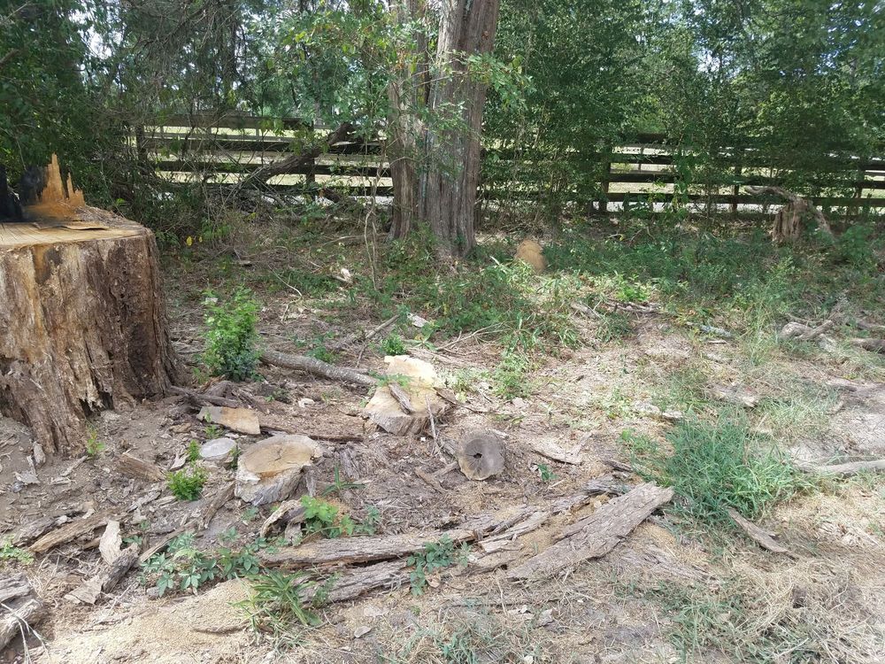 Slide of SCE Landscaping/Tree Service