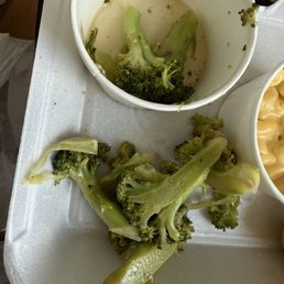 Steamed Broccoli Steamed Broccoli