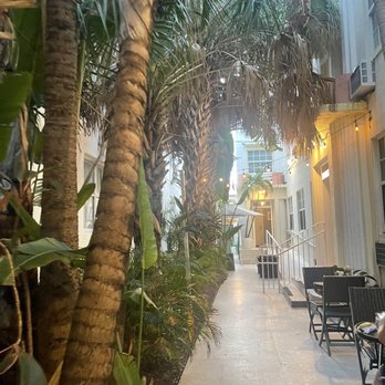 Riviere South Beach Hotel - Patio Area - Hotels Near Me - Miami Beach, Florida