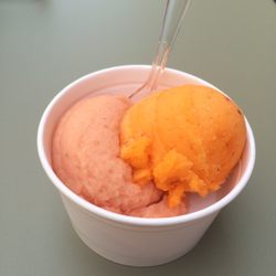 Gusto - Tomate basilic / poivron jaune
