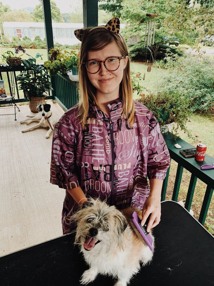 TOP NOTCH DOG GROOMING 35 Photos Unicoi, Tennessee Pet Groomers Phone Number Yelp