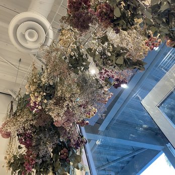 Morning Lavender - Hanging flowers (entrance) - Women's Clothing Near Me - Huntington Beach, California