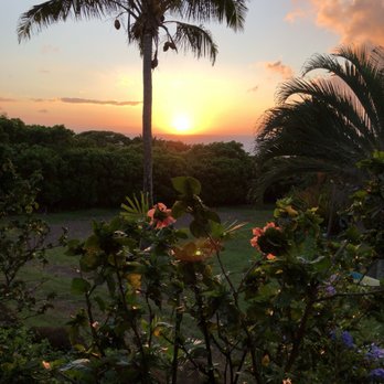 A Whale Crossing - Vacation Rentals Near Me - Hawi, Hawaii A Whale Crossing - Vacation Rentals Near Me - Hawi, Hawaii
