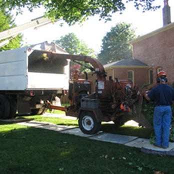 Genesis Tree Service Burke - Tree Removal Service - Tree Services Near Me - Burke, Virginia Genesis Tree Service Burke - Tree Removal Service - Tree Services Near Me - Burke, Virginia