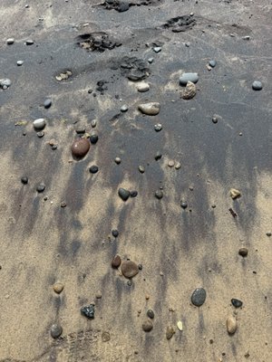Warren Dunes State Park by null
