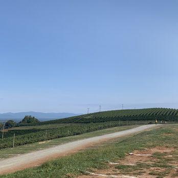 Carter Mountain Orchard - Pick Your Own Farms Near Me - Charlottesville, Virginia