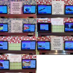 Yo2Go - All of the flavors available during this visit