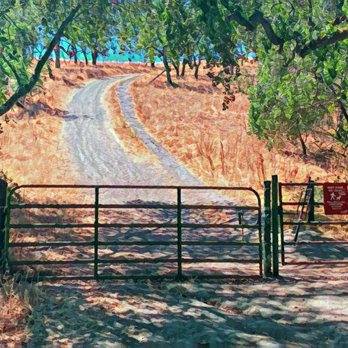 Bishop Ranch Regional Preserve - Beginning of the Grey Fox Trail - Hiking Near Me