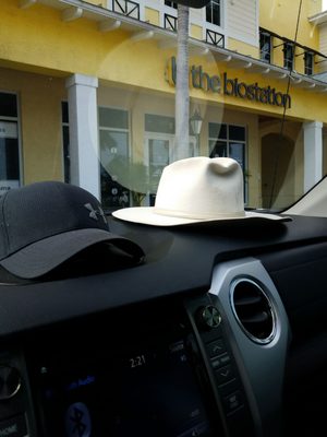 the biostation by null