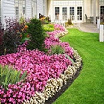 Green Fields Landscape Company - a front yard of a house - Landscaping Near Me - San Antonio, Texas Green Fields Landscape Company - a front yard of a house - Landscaping Near Me - San Antonio, Texas
