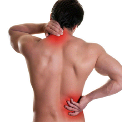 Total Health Clinic - Dr Phillip Dietrich - - If your feeling Neck or Low back pain lets talk how we can help you