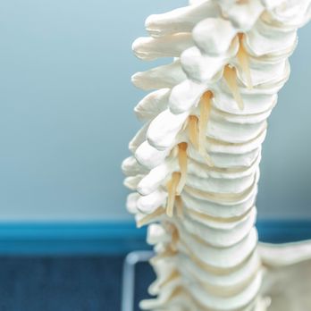 Premier Physical Therapy - Physical Therapy Near Me - Joliet, Illinois Premier Physical Therapy - Physical Therapy Near Me - Joliet, Illinois