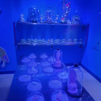 Meow Wolf - Venues & Event Spaces Near Me - Denver, Colorado