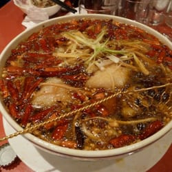 Tian Tian Seafood Harbour - Seabass in hot chili oil (szechuan)