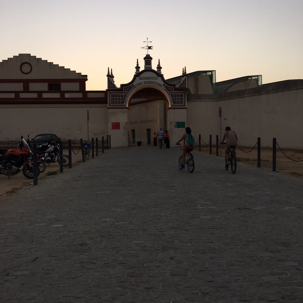 Centro Andaluz de Arte Contemporáneo