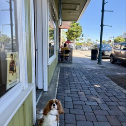 Harbour Surfboards - Miss M, while Papa visits an old friend!