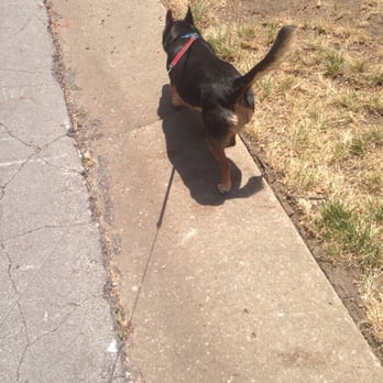 Wendy K's Pet Services - Dog Walkers Near Me Wendy K's Pet Services - Dog Walkers Near Me
