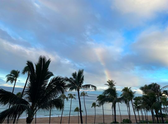 Kaanapali Alii Resort by null