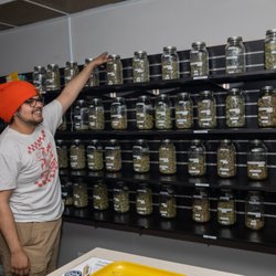 Planted Provisioning