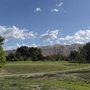 Roots Disc Golf Course