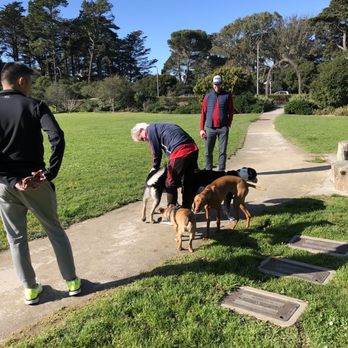 Golden Gate Park Kezar Triangle - Friendly owners - Dog Parks Near Me - San Francisco, California Golden Gate Park Kezar Triangle - Friendly owners - Dog Parks Near Me - San Francisco, California