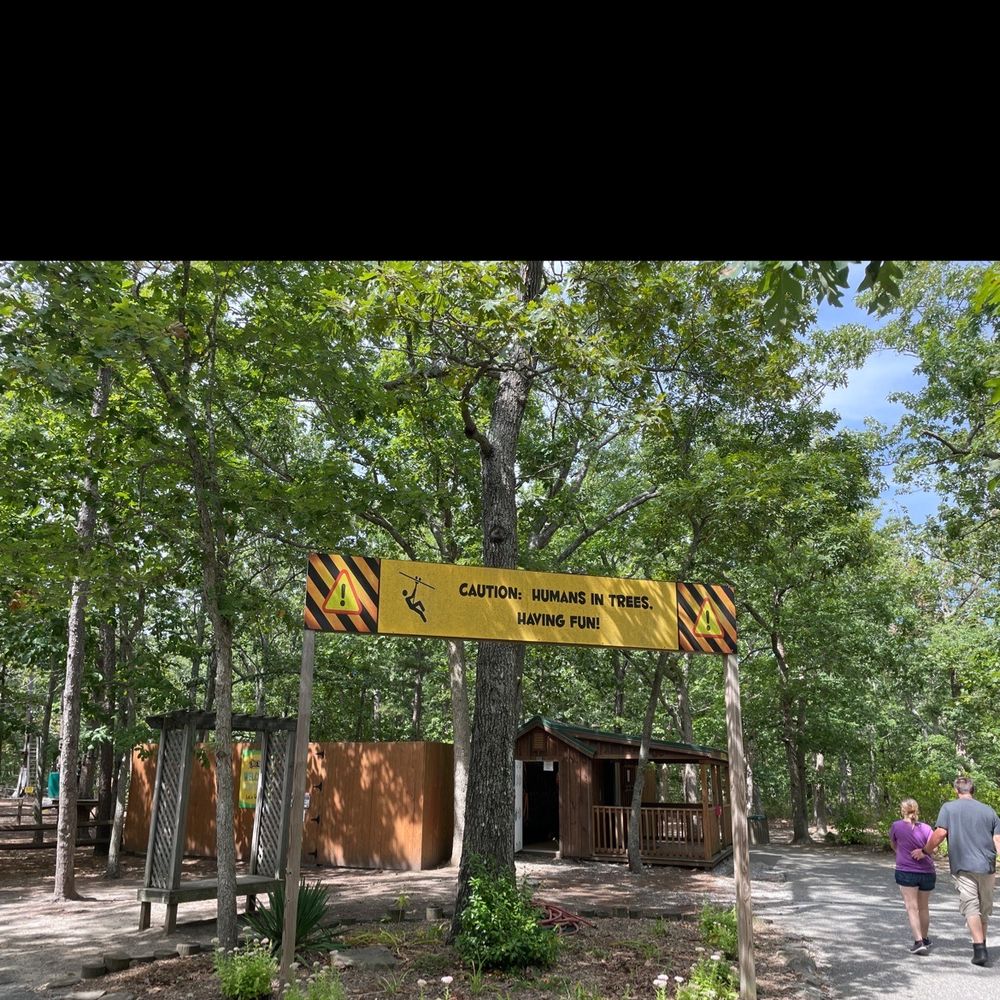 TREE TO TREE CAPE MAY 25 Photos & 33 Reviews 707 US 9 N, Cape May