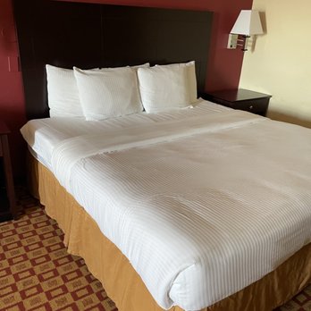 La Quinta by Wyndham Alice - Hotels Near Me - Alice, Texas La Quinta by Wyndham Alice - Hotels Near Me - Alice, Texas