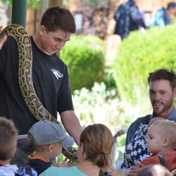Pet a Python, Snake Show