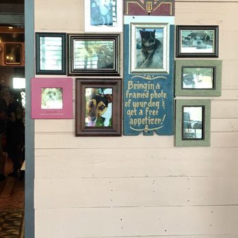 Chuy's - Bring in a framed photo of your dog and get a free appetizer! - Tex-Mex Near Me - Lutz, Florida Chuy's - Bring in a framed photo of your dog and get a free appetizer! - Tex-Mex Near Me - Lutz, Florida