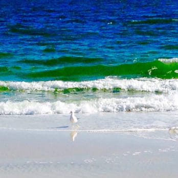 Perdido Beach Resort - This is the view on the beach! - Hotels Near Me - Orange Beach, Alabama Perdido Beach Resort - This is the view on the beach! - Hotels Near Me - Orange Beach, Alabama