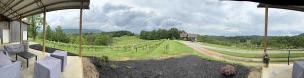 Addison Farms Vineyard by null