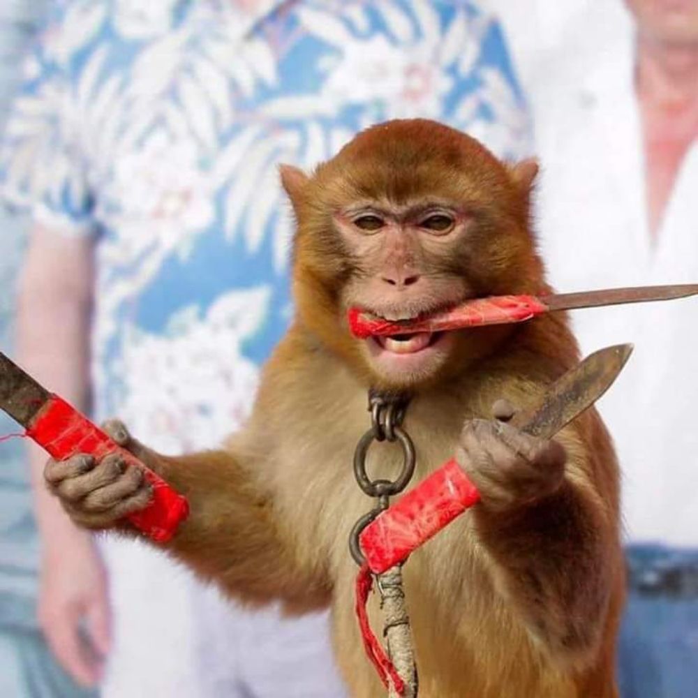 A&A SHARPENING Updated August 2024 19 Reviews Yuba City