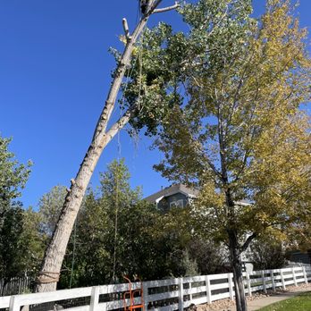 Copper Top Tree Care - Tree removal - Tree Services Near Me Copper Top Tree Care - Tree removal - Tree Services Near Me
