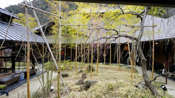 Hakone Yuryo by null