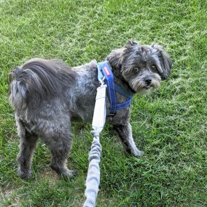 PETS-R-US - Updated February 2026 - 54 Photos & 79 Reviews - 10913 Elm ...