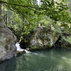 Bellingham Tours - Whatcom Falls