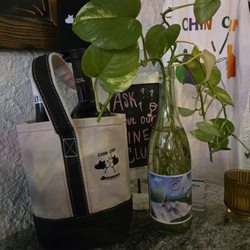 Bar Chinchilla