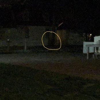 Colonial Ghosts Tours - Historical Tours Near Me - Williamsburg, Virginia