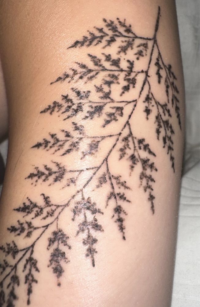 ARTISAN INK Updated September 2024 20 Photos 928 State Rt 9