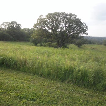 Donald County Park - Parks Near Me - Mount Horeb, Wisconsin