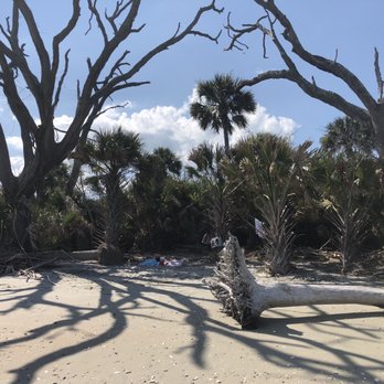 Botany Bay Plantation - Setup in the shade - Parks Near Me - Edisto Island, South Carolina