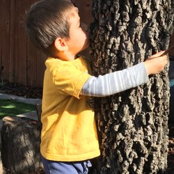 Tia Karina's House Family Child Care - "Quite simple, when we deny our children nature, we deny them beauty". RICHARD LOUV
