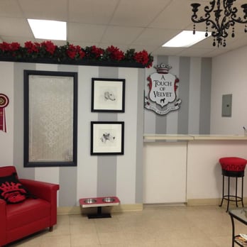 A Touch of Velvet - Salon inside - Pet Groomers Near Me - Glendora, California A Touch of Velvet - Salon inside - Pet Groomers Near Me - Glendora, California