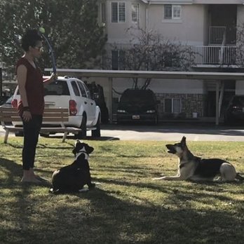 Be the Boss Dog Training - Pet Training Near Me - Eagle Mountain, Utah