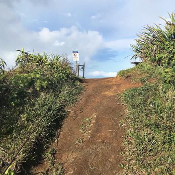 Wiliwilinui Ridge Trail - Just over this hill and you will be greeted by The Windward side of the island, wow! - Hiking Near Me Wiliwilinui Ridge Trail - Just over this hill and you will be greeted by The Windward side of the island, wow! - Hiking Near Me