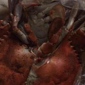 Universal Fish Market - a crab in a plastic bag - Seafood Markets Near Me - Bronx, New York