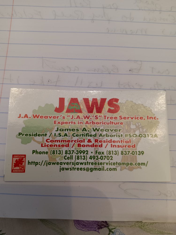 J A Weaver's Jaws Tree Service - tree service in Tampa, FL